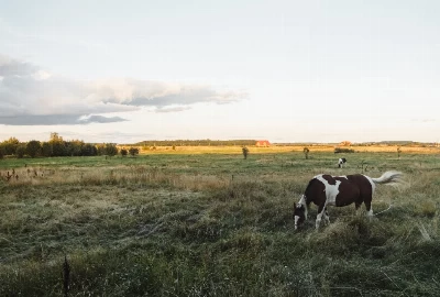 Mackinaw City: A Charming Introduction to Michigan's Hidden Gem