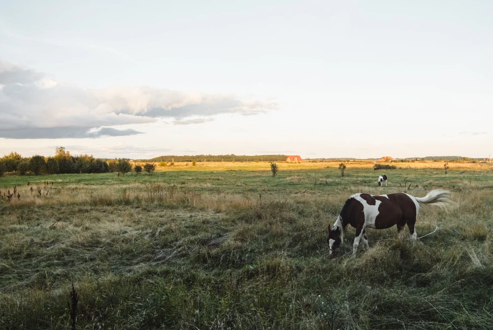 Mackinaw City: A Charming Introduction to Michigan's Hidden Gem